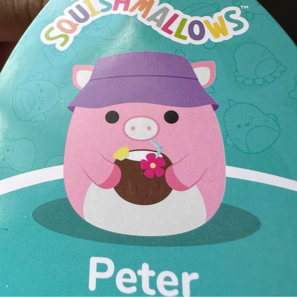 8” Peter the Pig with Bucket Hat NWT - Picture 4 of 5